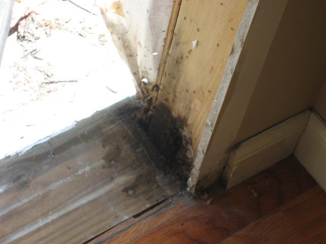 [houserenovations 367[3].jpg]