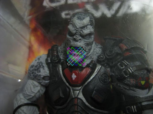 Locust Drone