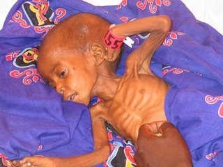 [darfur_child_starving[8].jpg]