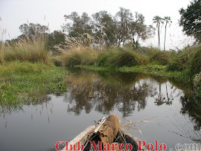 Navegando en Mokoro – Delta del Okavango