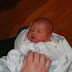 Just a few hours old.