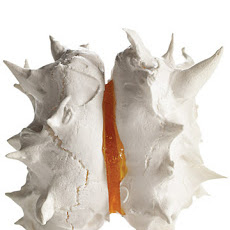 Meringue Porcupines