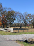 2006Oct 054.jpg