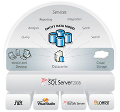 Microsoft data vision