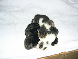 DSCN3244.JPG