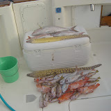 Big Game Fishing Juli 2008