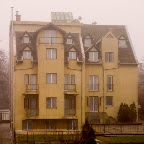 Bara Junior
