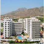 Griego Mar (3nts Minimum)