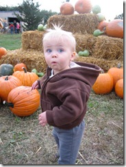 October 082