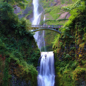 Multnomah Falls by Bryan Rasmussen - Landscapes Waterscapes ( water, oregon, peaceful, multnomah falls, green, waterfall, bridge, multnomah )