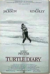 Turtle Diary