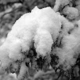 Snow in Southsea
