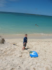IMG_1835b.jpg