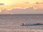 IMG_1558.JPG