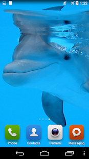 How to download Dolphin underwater 1.0 mod apk for laptop