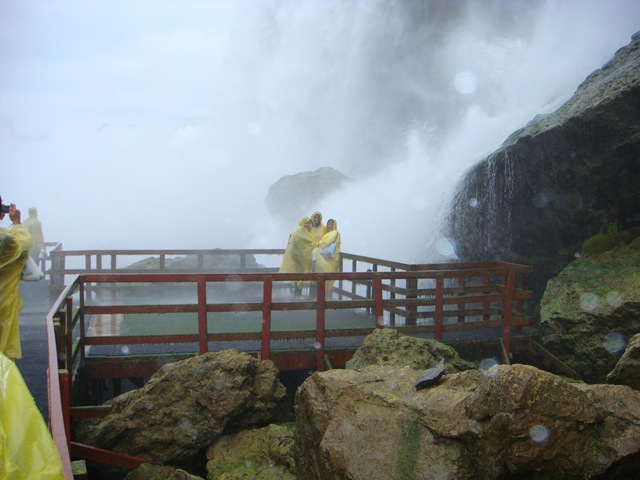 [DSC00118[3].jpg]