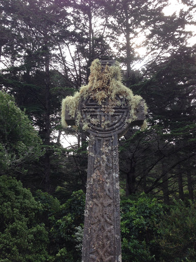 Moss on a Cross