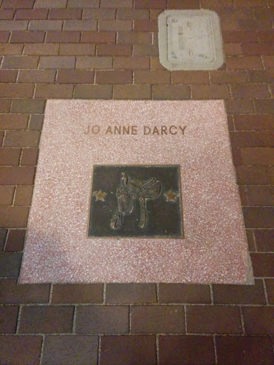 Saddle of Fame - Jo Anne Darcy
