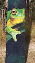 Green Tree Frog Mural