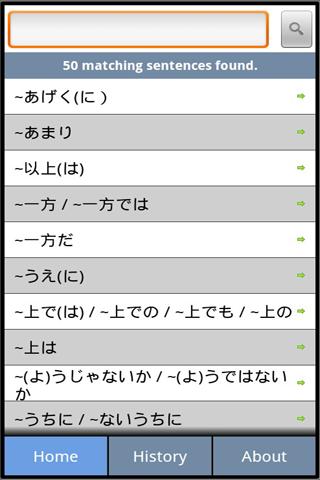 Japanese Grammar N2 Lite