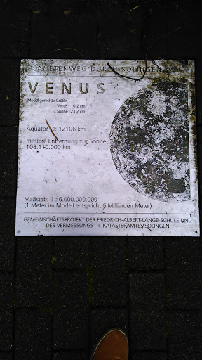 Venus-platte