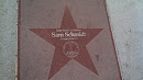 Sam Schmidt Star