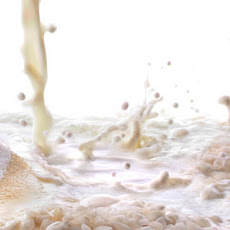 Basic Rice Pudding Recipe