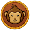 Primate Watch
