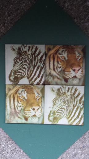 Tiger Print on Wall