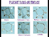 Lote De 142 Pzas De Accesorios Pulseras Aretes