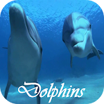 Dolphins Video Live Wallpaper Apk