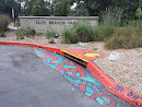 Storm Drain Mural at Flatbranch Park