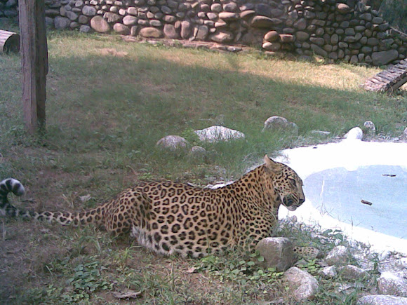 Spotting Image 1
