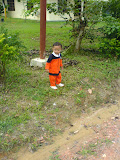 DSC00382.JPG