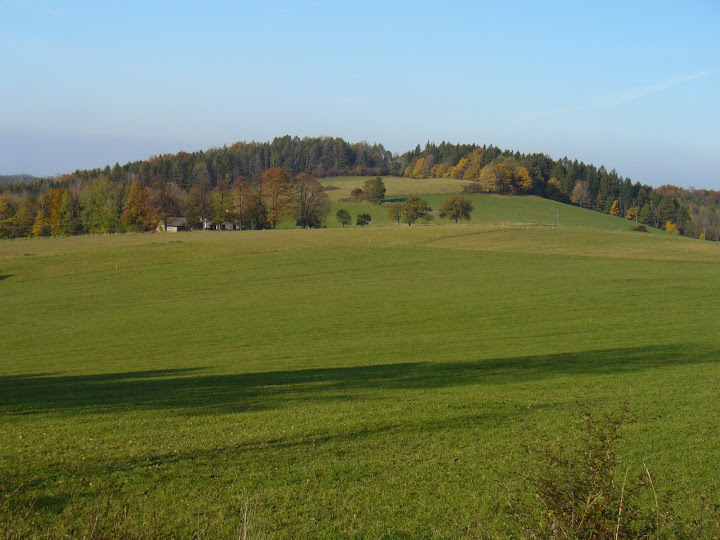Tuł