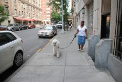 new_york_041.jpg