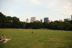 new_york_044.jpg