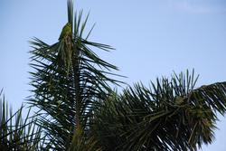 c3m_011.jpg
