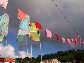 Flags in the Park