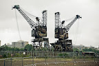 Riverside cranes