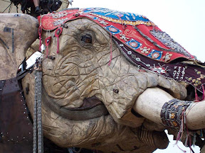 The elephant's head