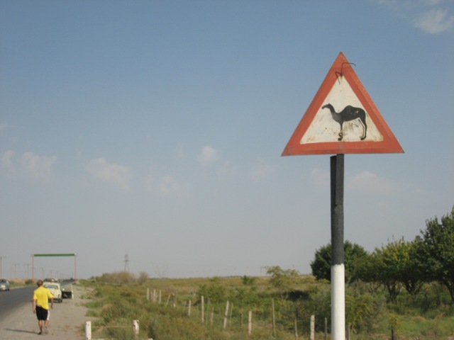 [IMG_58392.jpg]