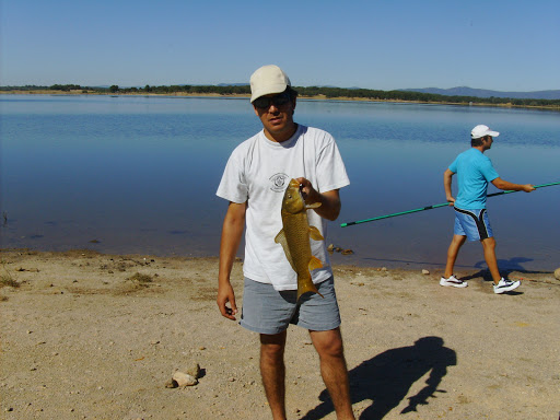 peixe na barragem