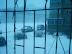 view from study window