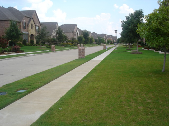 [DSC04704[7].jpg]