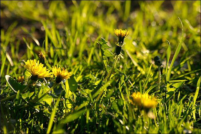 080528-035-w.jpg