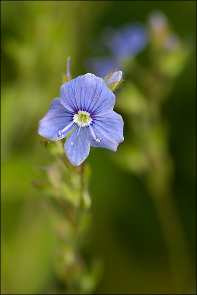 080615-039-w.jpg