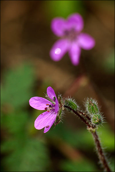 080615-045-w.jpg