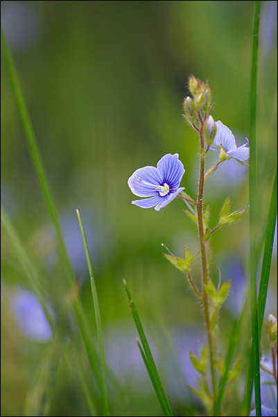 080615-213-w.jpg