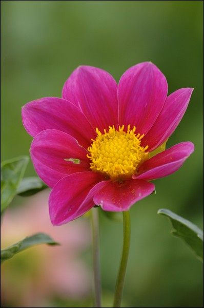 080801-171-w.jpg